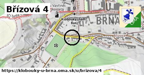 Břízová 4, Klobouky u Brna