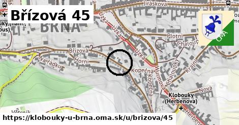 Břízová 45, Klobouky u Brna