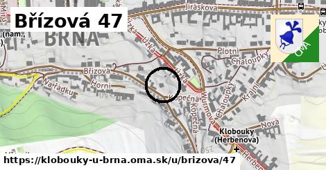 Břízová 47, Klobouky u Brna