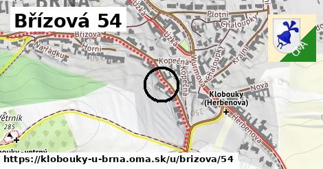 Břízová 54, Klobouky u Brna