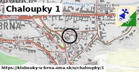 Chaloupky 1, Klobouky u Brna