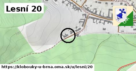 Lesní 20, Klobouky u Brna
