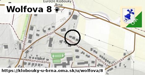 Wolfova 8, Klobouky u Brna