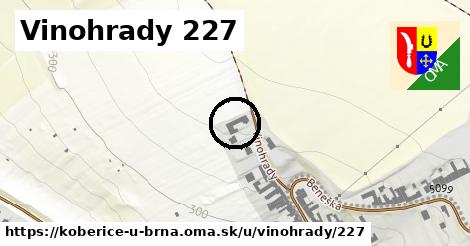 Vinohrady 227, Kobeřice u Brna