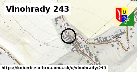 Vinohrady 243, Kobeřice u Brna