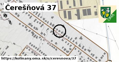 Čerešňová 37, Kolíňany