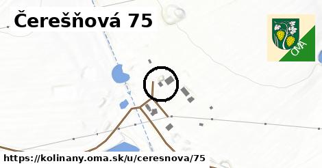 Čerešňová 75, Kolíňany