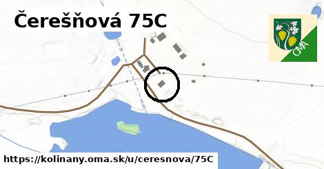 Čerešňová 75C, Kolíňany