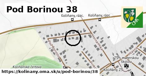 Pod Borinou 38, Kolíňany