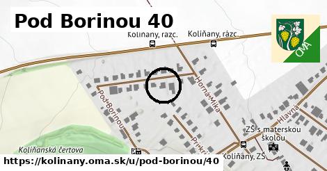 Pod Borinou 40, Kolíňany