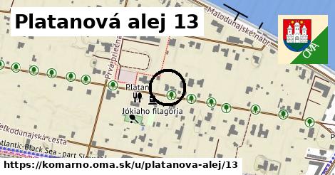 Platanová alej 13, Komárno