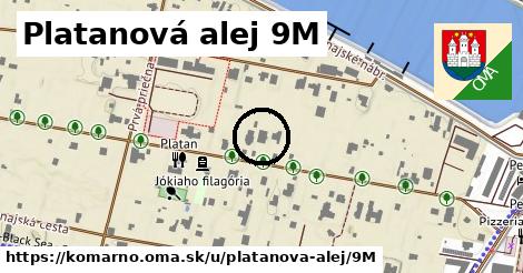 Platanová alej 9M, Komárno