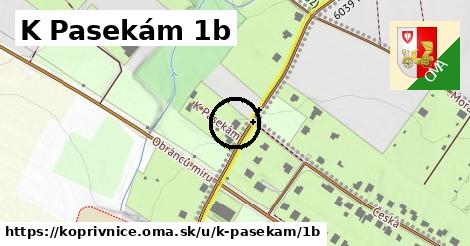 K Pasekám 1b, Kopřivnice