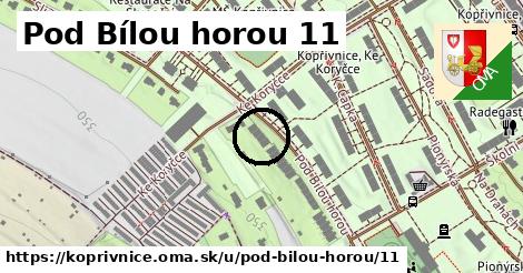 Pod Bílou horou 11, Kopřivnice