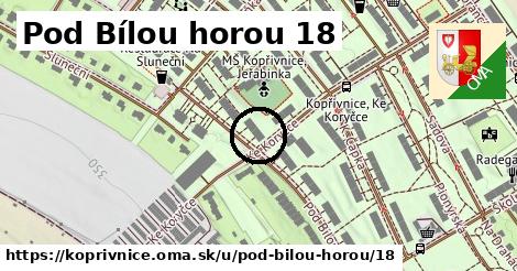 Pod Bílou horou 18, Kopřivnice