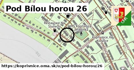 Pod Bílou horou 26, Kopřivnice