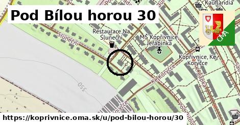 Pod Bílou horou 30, Kopřivnice