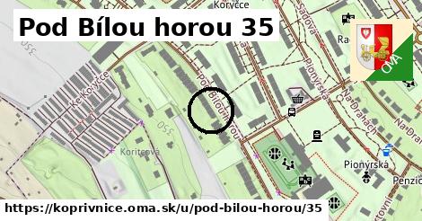 Pod Bílou horou 35, Kopřivnice