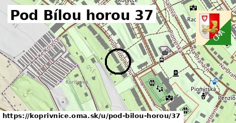 Pod Bílou horou 37, Kopřivnice