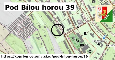 Pod Bílou horou 39, Kopřivnice