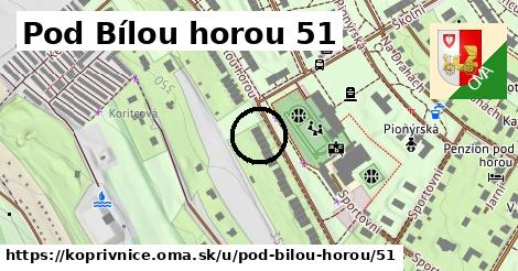 Pod Bílou horou 51, Kopřivnice