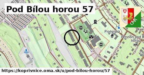 Pod Bílou horou 57, Kopřivnice