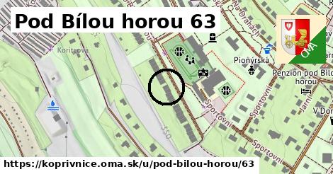 Pod Bílou horou 63, Kopřivnice