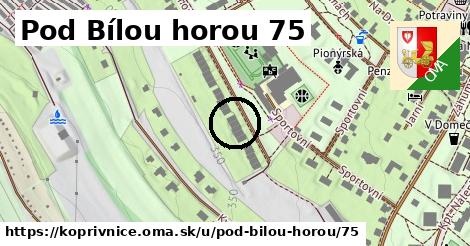 Pod Bílou horou 75, Kopřivnice