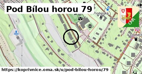 Pod Bílou horou 79, Kopřivnice