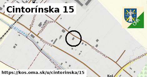 Cintorínska 15, Koš