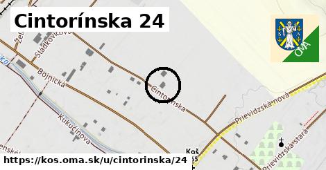 Cintorínska 24, Koš