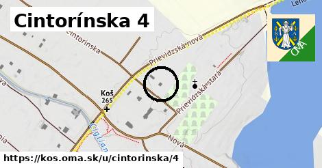 Cintorínska 4, Koš