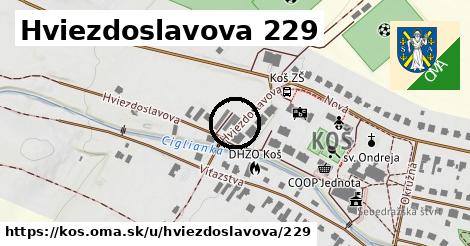 Hviezdoslavova 229, Koš