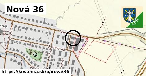 Nová 36, Koš