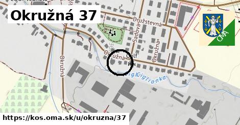 Okružná 37, Koš