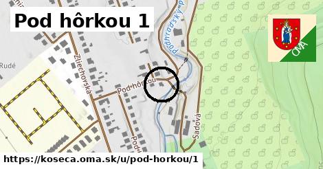 Pod hôrkou 1, Košeca