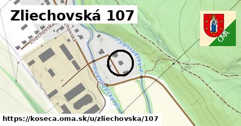 Zliechovská 107, Košeca