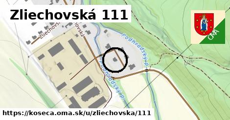 Zliechovská 111, Košeca