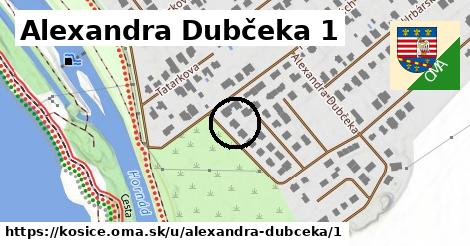 Alexandra Dubčeka 1, Košice