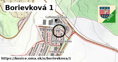Borievková 1, Košice