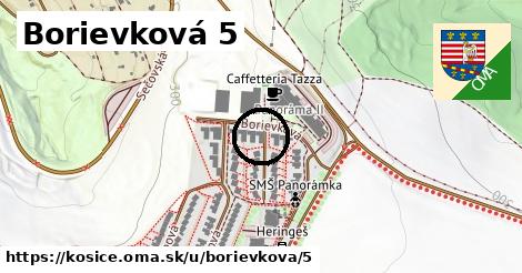 Borievková 5, Košice