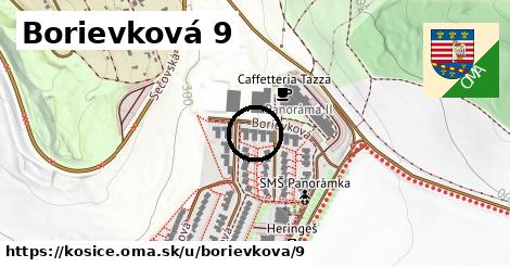 Borievková 9, Košice