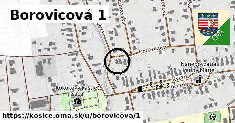 Borovicová 1, Košice
