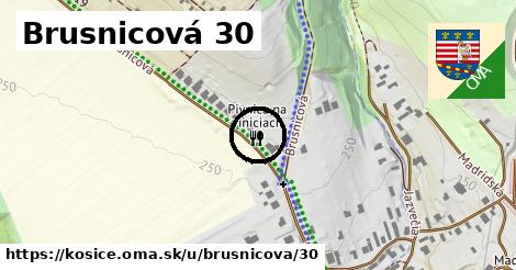 Brusnicová 30, Košice