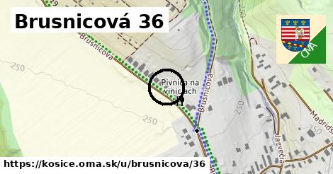 Brusnicová 36, Košice