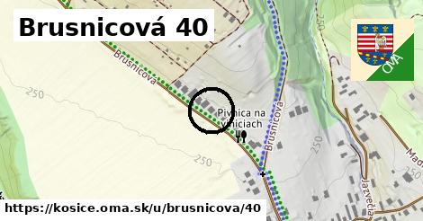 Brusnicová 40, Košice