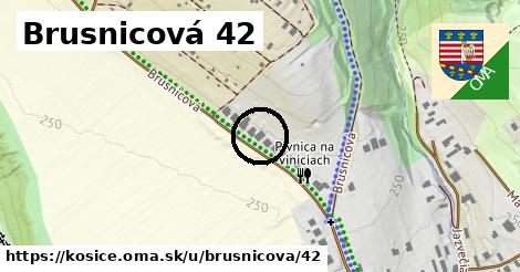 Brusnicová 42, Košice