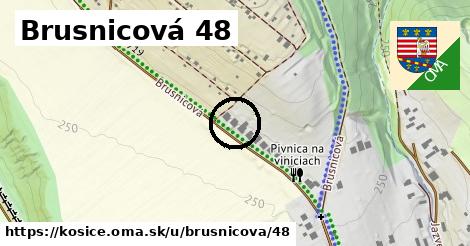 Brusnicová 48, Košice