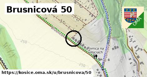 Brusnicová 50, Košice