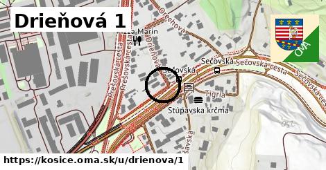 Drieňová 1, Košice